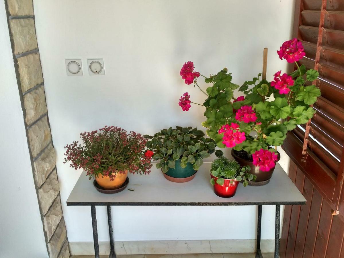 Apartmani Tonica ซูโกชัน ภายนอก รูปภาพ